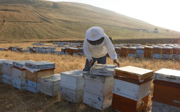 Türk Balını Uluslararası Pazarlara Ulaştıran Balparmak, İhracat Birinciliğini Perçinledi