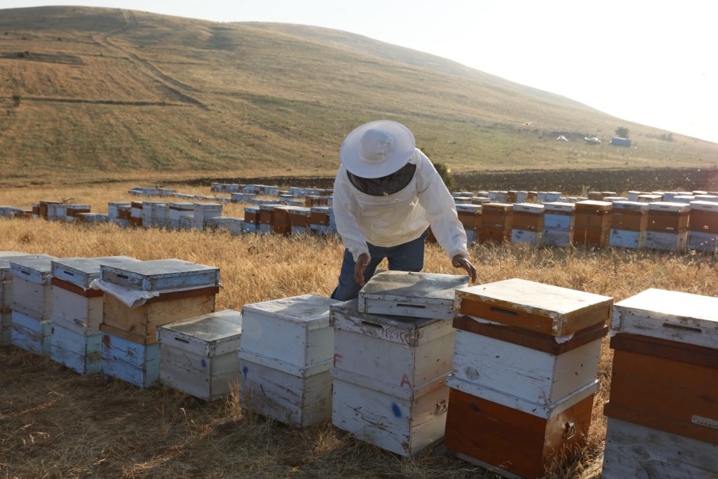Türk Balını Uluslararası Pazarlara Ulaştıran Balparmak, İhracat Birinciliğini Perçinledi
