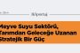Üniversiteyi Yeniden Düşünmek: Gıda Mühendisliği Eğitimi Nereye Evriliyor? Bir Dönüşümün Eşiğinde