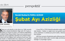 Şubat Ayı Azizliği