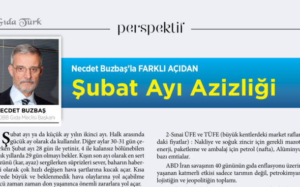 Şubat Ayı Azizliği