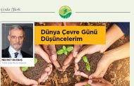 DÜNYA ÇEVRE GÜNÜ DÜŞÜNCELERİM