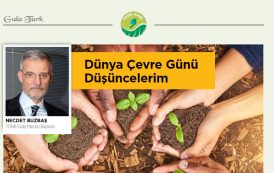 DÜNYA ÇEVRE GÜNÜ DÜŞÜNCELERİM