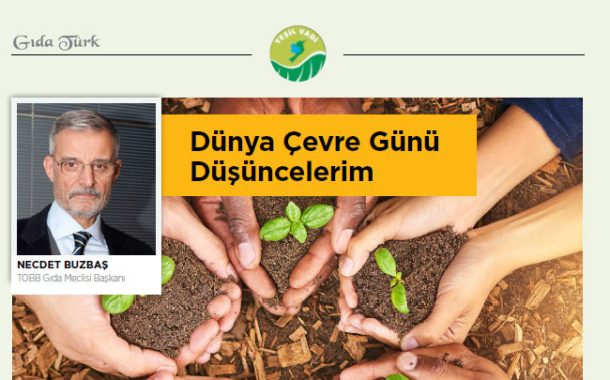 DÜNYA ÇEVRE GÜNÜ DÜŞÜNCELERİM