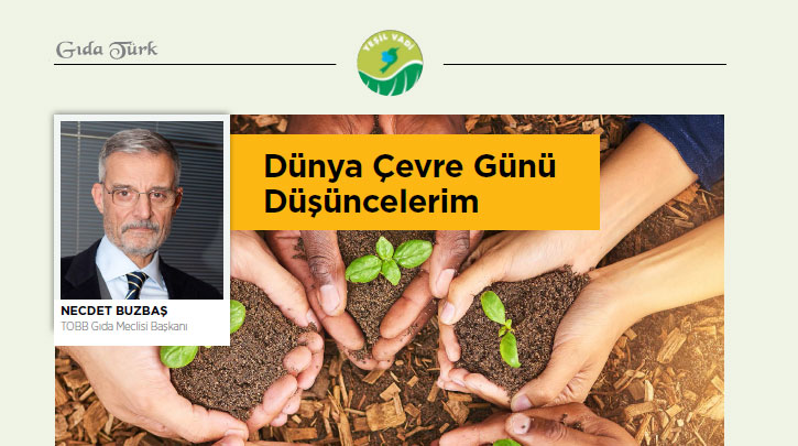 DÜNYA ÇEVRE GÜNÜ DÜŞÜNCELERİM