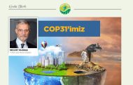 COP31’imiz