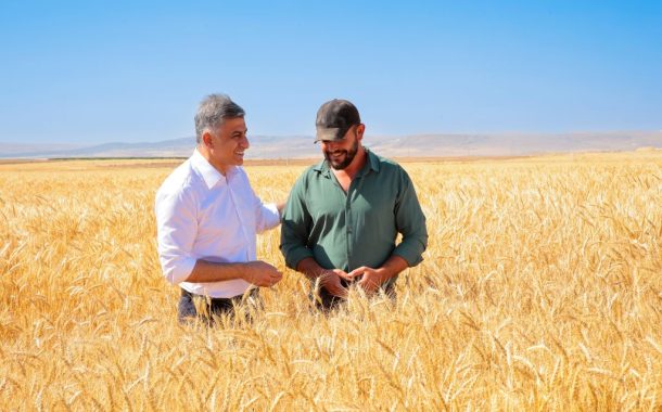 ETİ, Kuraklığa Dayanıklı Kanatlı Buğdayı'nın İlk Tohumluk Hasadını Gerçekleştirdi