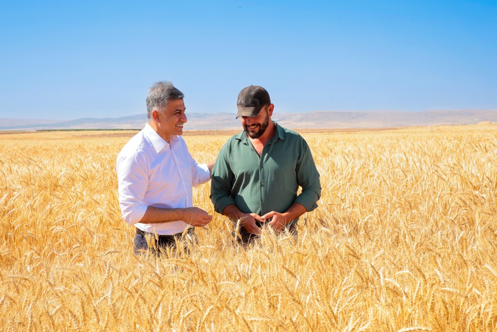 ETİ, Kuraklığa Dayanıklı Kanatlı Buğdayı'nın İlk Tohumluk Hasadını Gerçekleştirdi